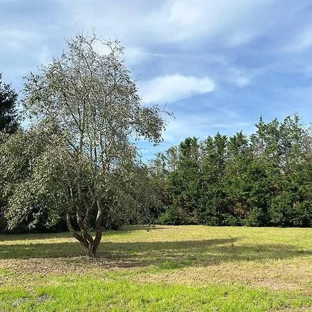 Holiday home Casa Isabella